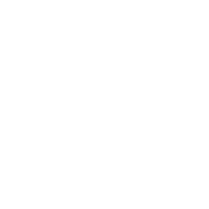 Michigan Economic Development Corporation Logo