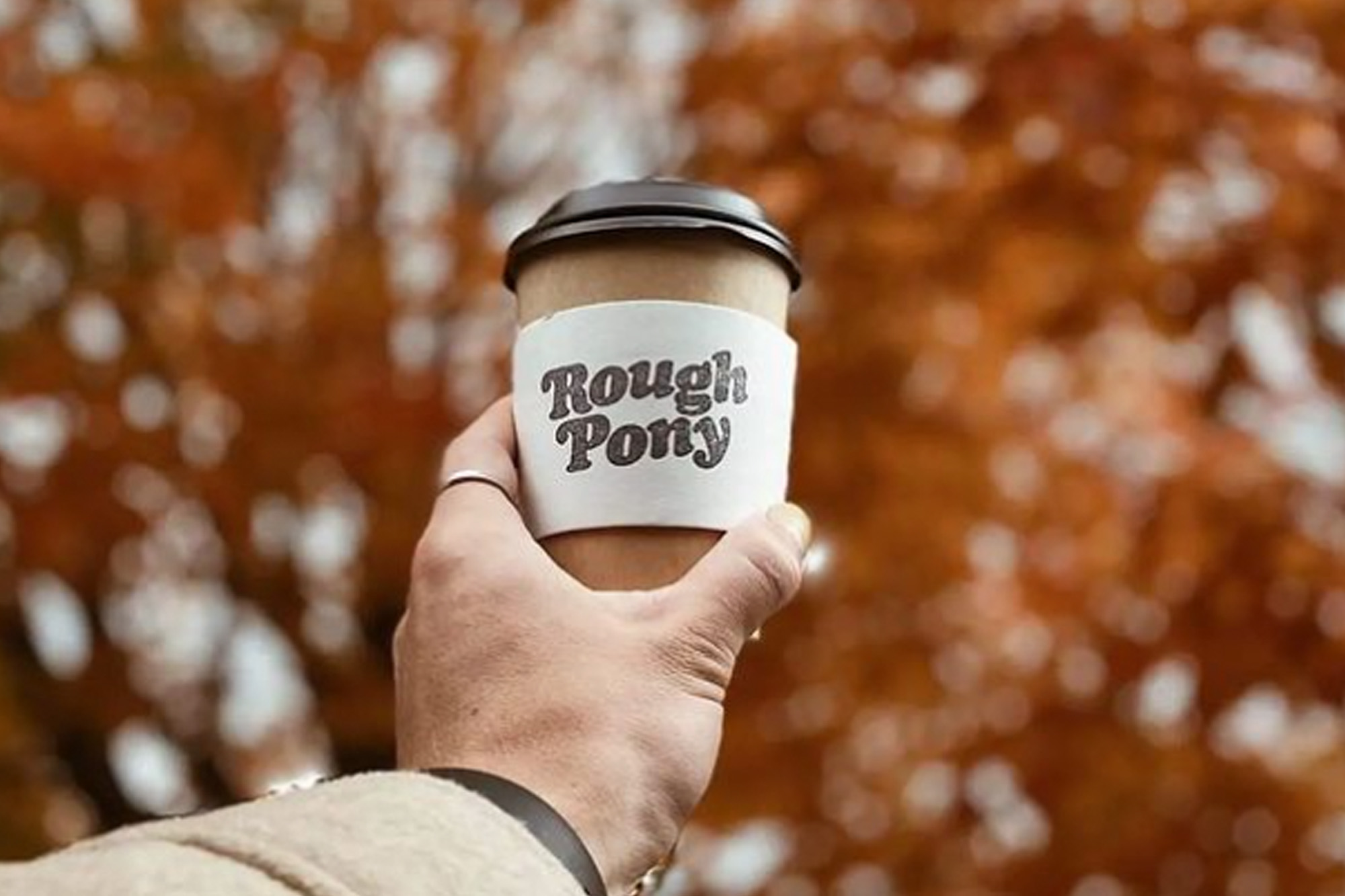 Rough pony michigan sbdc