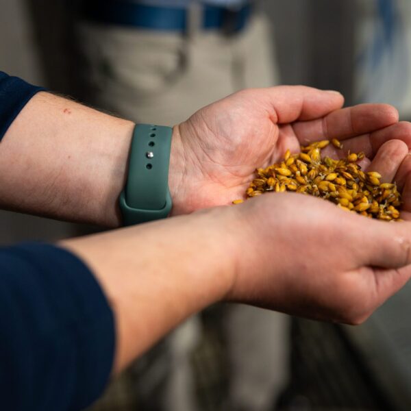 Great Lakes Malting Co.