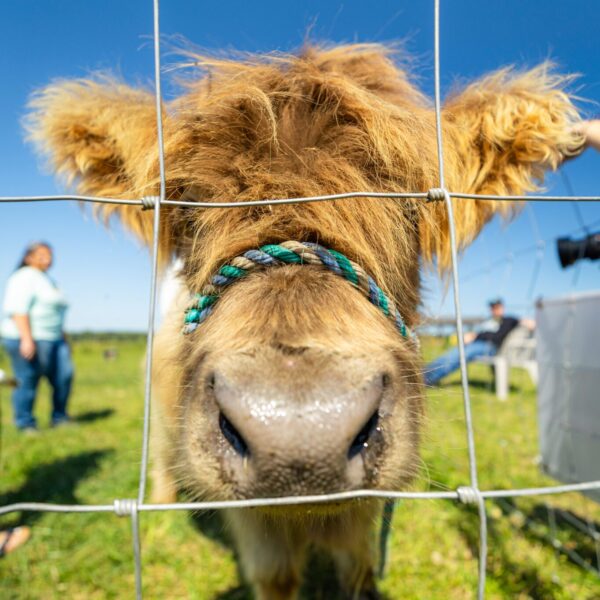 250911 MI SBDC 4.9 - Szymanski's Creekside Acres CN-15