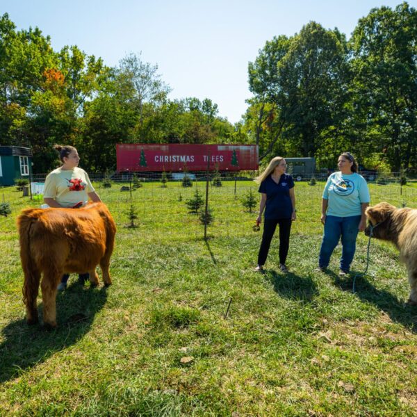 250911 MI SBDC 4.9 - Szymanski's Creekside Acres CN-28