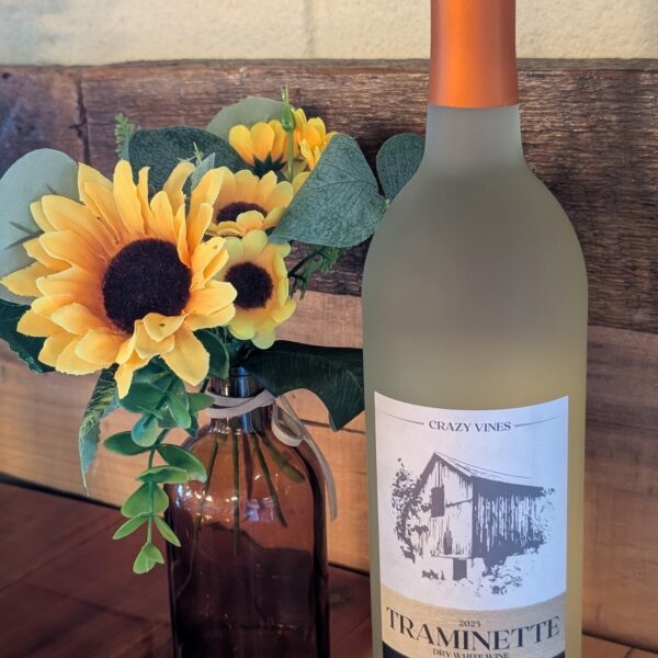 515937325_1039566508338868_5974779115697072979_n(1) 515937325_1039566508338868_5974779115697072979_n(1)